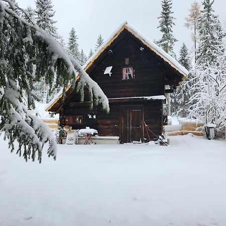 Апартаменты Urige Waldbienenhuette Diex Экстерьер фото